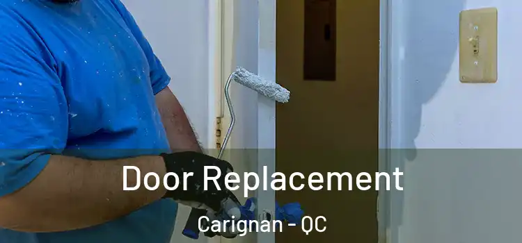 Door Replacement Carignan - QC