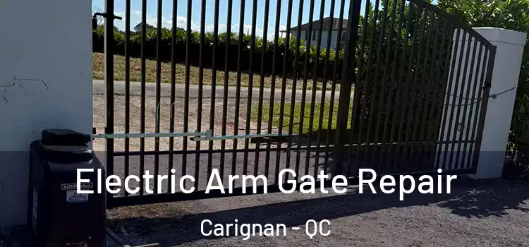 Electric Arm Gate Repair Carignan - QC
