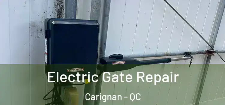 Electric Gate Repair Carignan - QC
