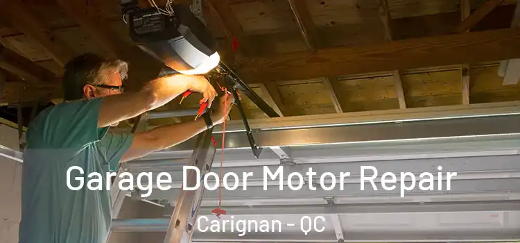  Garage Door Motor Repair Carignan - QC