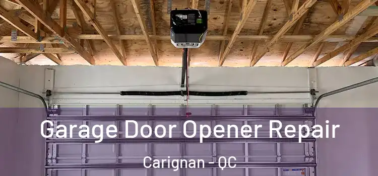  Garage Door Opener Repair Carignan - QC