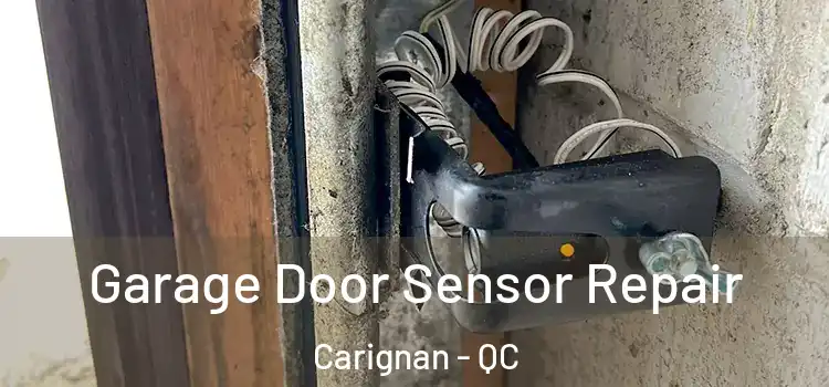 Garage Door Sensor Repair Carignan - QC