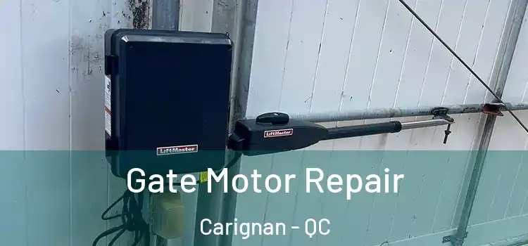  Gate Motor Repair Carignan - QC