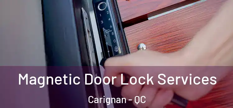 Magnetic Door Lock Services Carignan - QC
