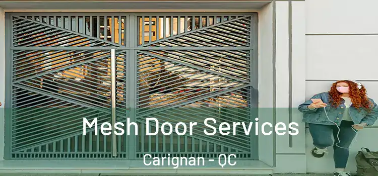 Mesh Door Services Carignan - QC