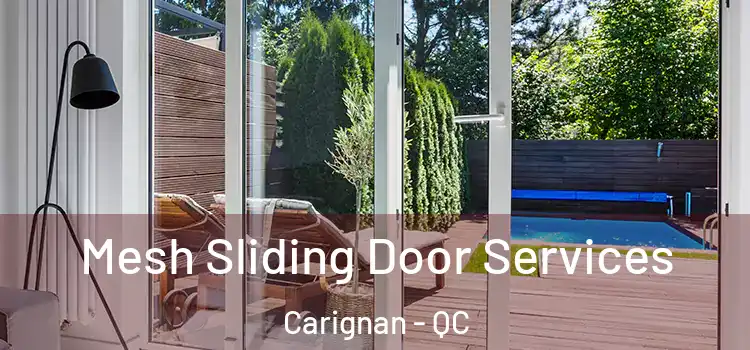 Mesh Sliding Door Services Carignan - QC