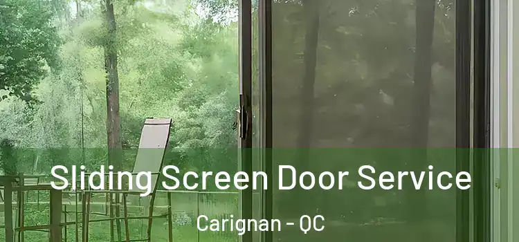 Sliding Screen Door Service Carignan - QC